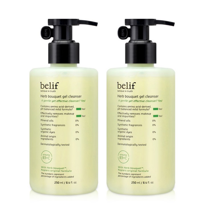 빌리프 허브 부케 클렌징젤 약산성 폼클렌징 250ml 2개, 2개, 250ml