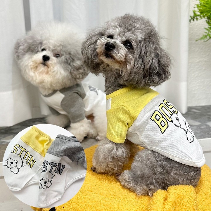 버클리클 보스턴 맨투맨 버클리클 보스턴 맨투맨