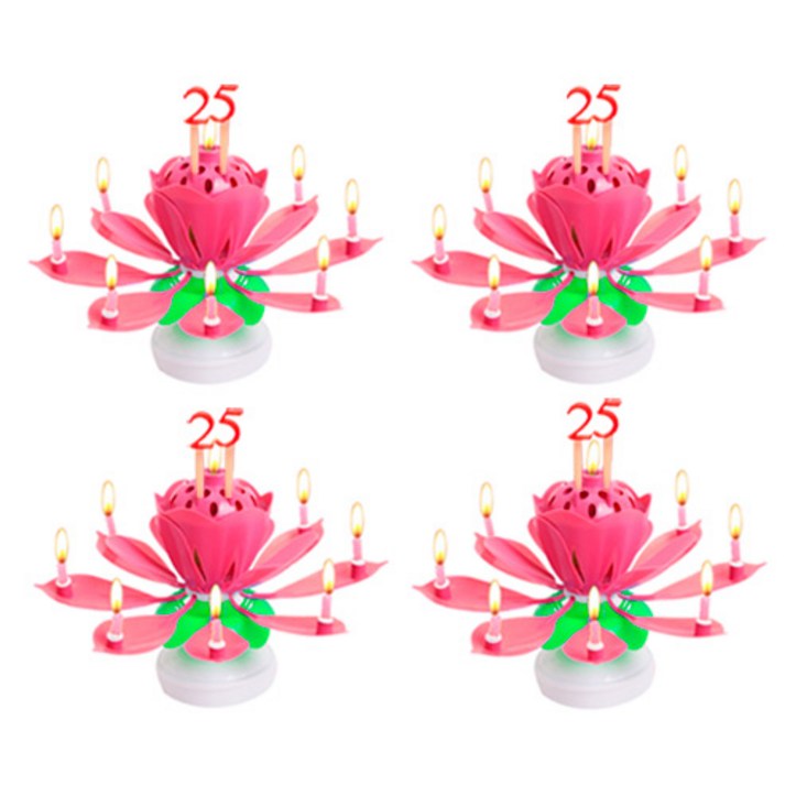 디온리원 자동 개화 연꽃초, 핑크, 4개