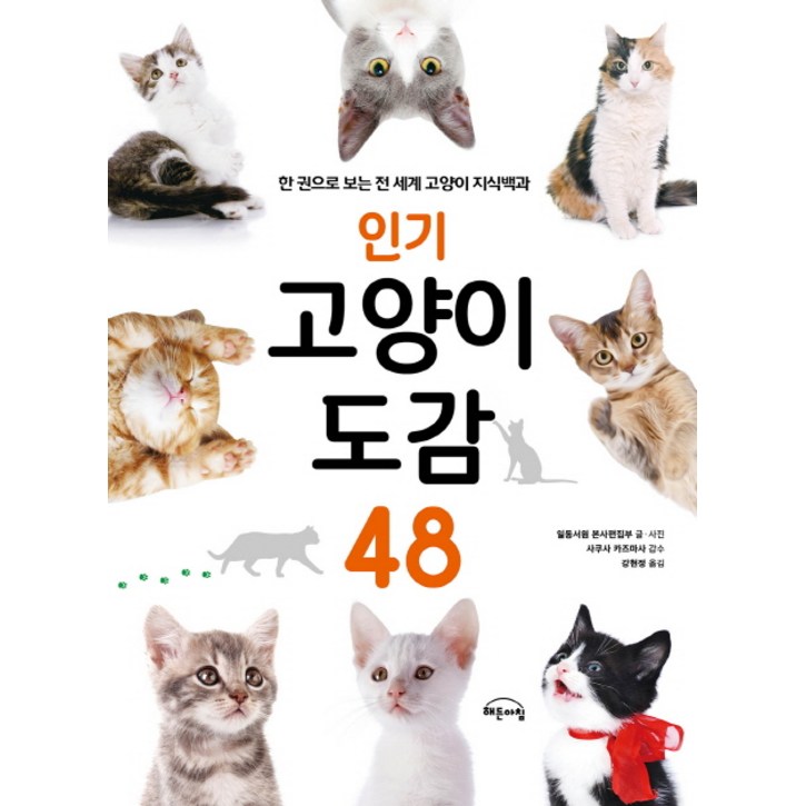 인기 고양이 도감 48한 권으로 보는 전 세계 고양이 지식백과