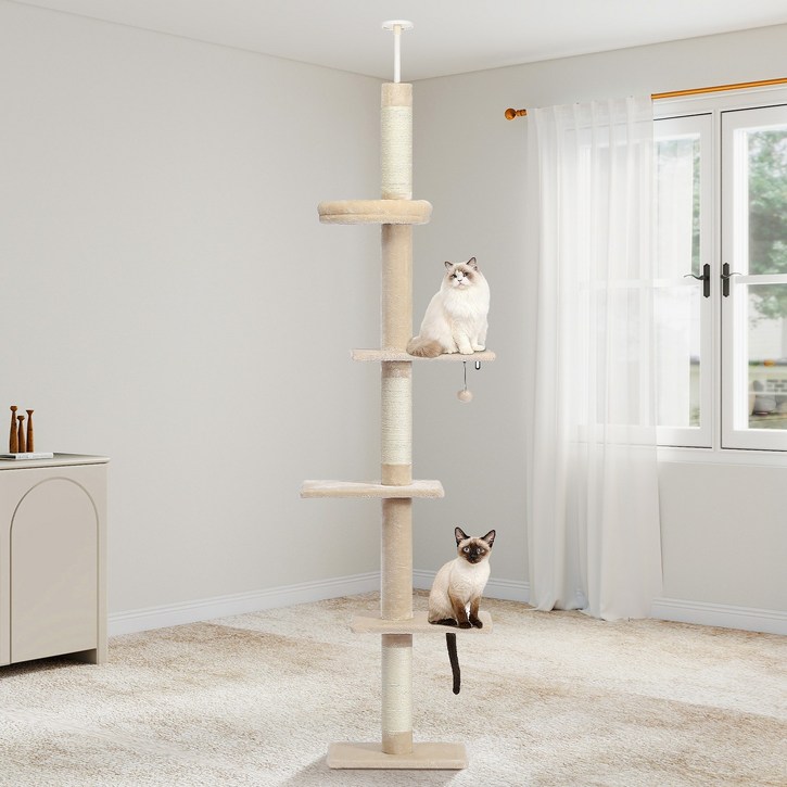 PAWZ Road 5단 대형 플러시 패브릭 심플 캣폴,천장 고정형  높이 조절 캣타워 238CM-275CM