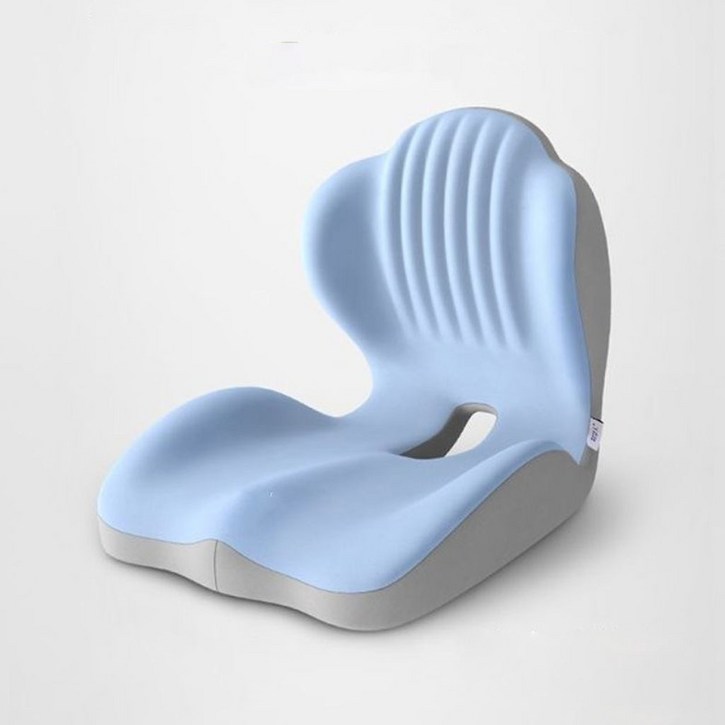 DANGZ 사무실 바른자세 이지힙 등쿠션 허리쿠션 힙업방석