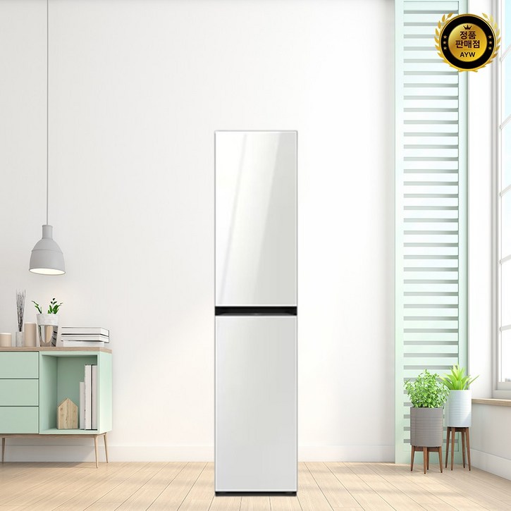 삼성전자 비스포크 에어드레서 DF18CB8600WR 방문설치