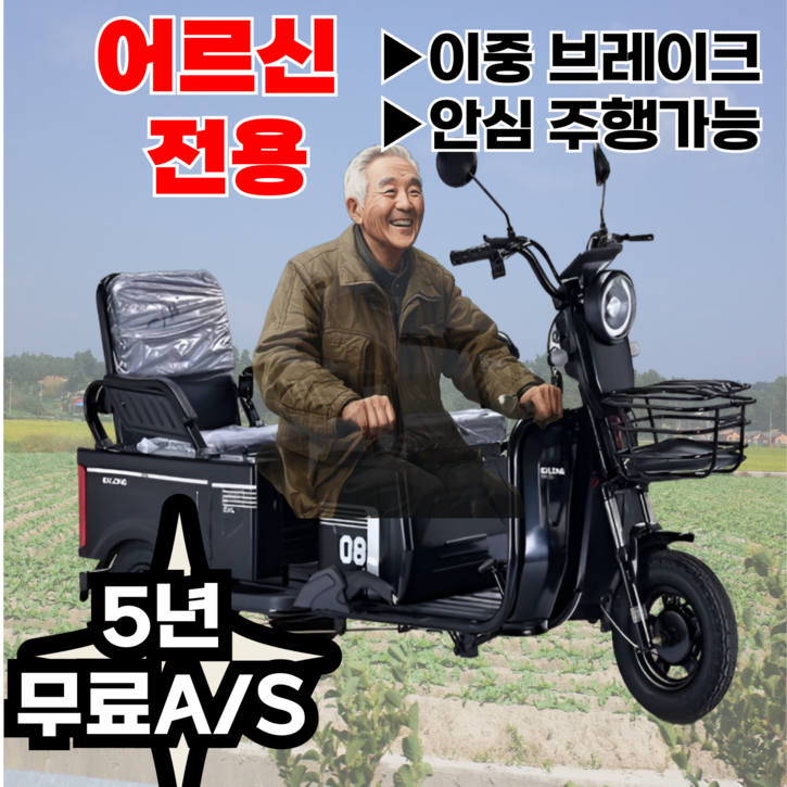 Ezybike 쉬운조작 세발전기자전거 어르신 전동 자토바이 출퇴근 스쿠터, 레드, 스틸