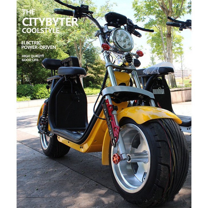 창흥 할리전동스쿠터 전동자전거 전기오토바이