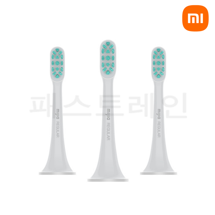 패스트레인 직수입국내AS 정발 한국판 샤오미 음파 전동칫솔T500 화이트 MES601