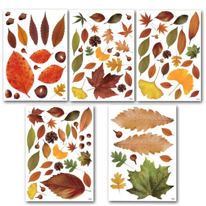 (만들기재료)단나뭇잎 스티커 5매 6개묶음 가을만들기 - 쇼핑뉴스