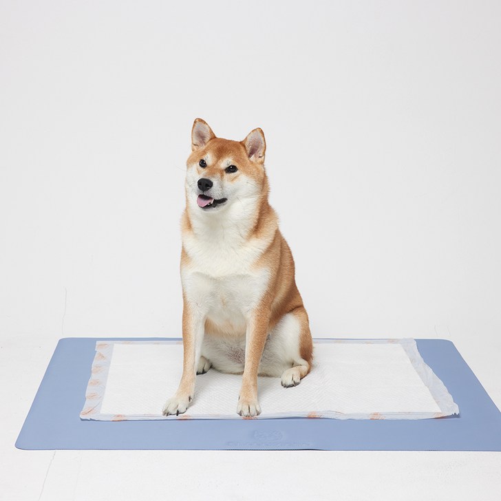 쉬즈곤 트릭매트 논슬립 강아지 배변매트