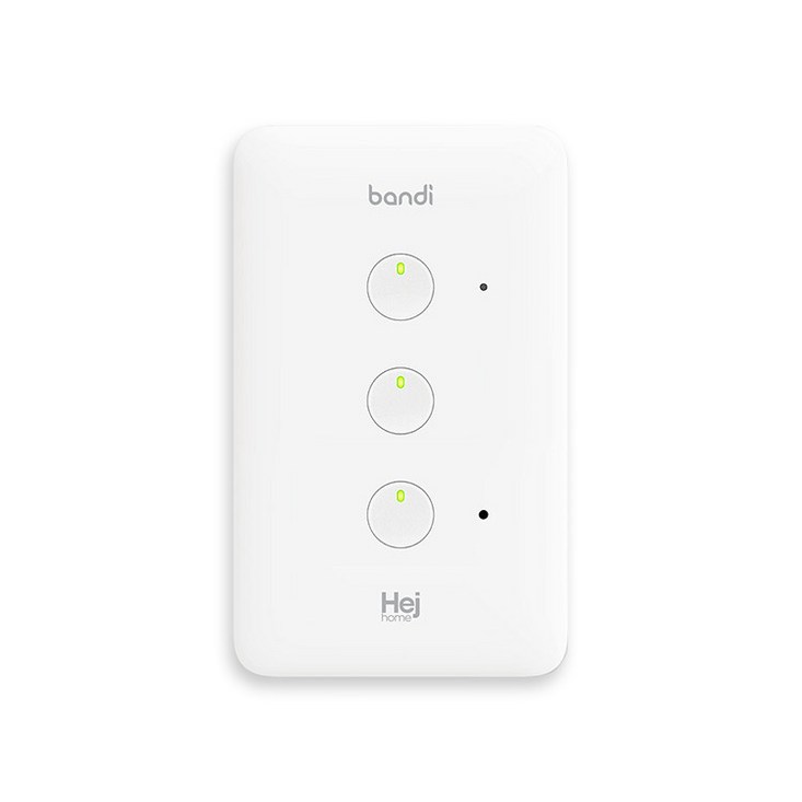 헤이홈 IoT 스마트 조명 스위치 2선식 3구, 1개