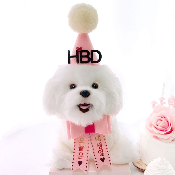 핑크캔디 강아지 생일파티세트 - 투데이밈
