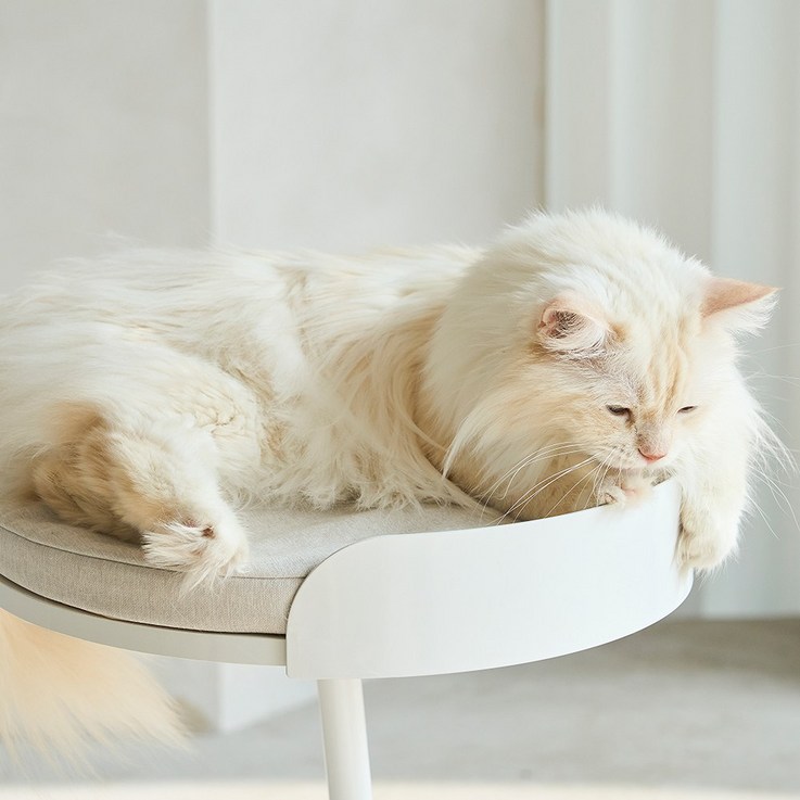 두잇 미니 캣타워 3층쿠션 벨트X 높이 3cm, 1개, 라이트그레이