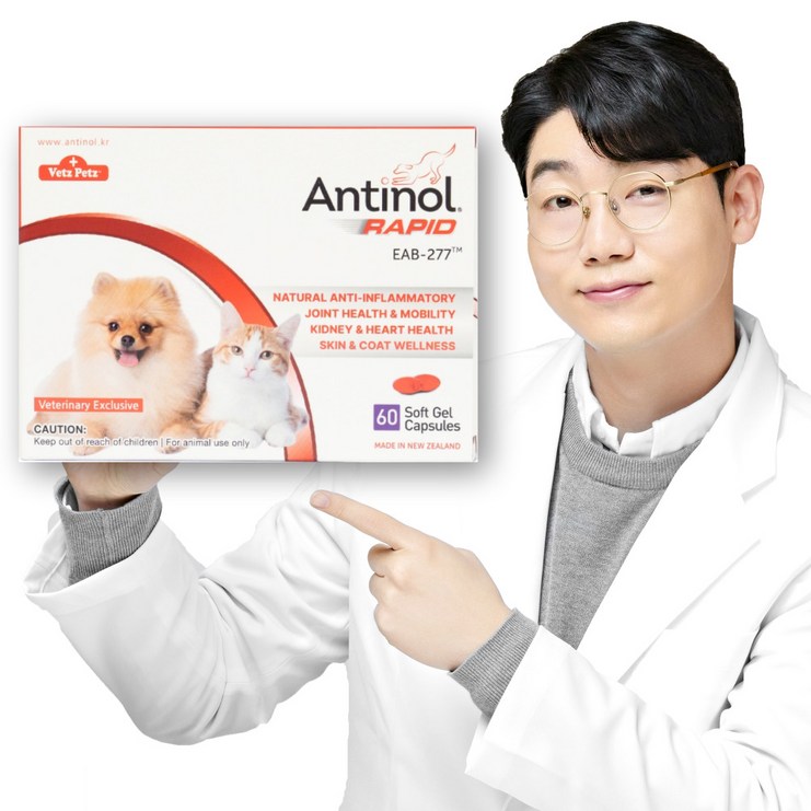 안티놀 래피드 60정, 뼈관절강화, 19.2g, 1개 안티놀 래피드 60정, 뼈관절강화, 19.2g, 1개