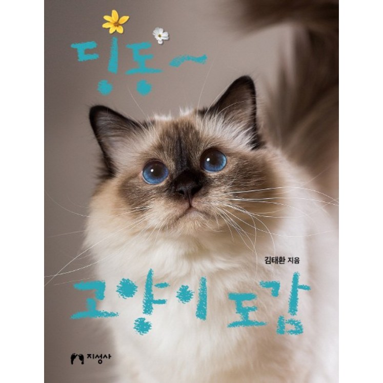 딩동 고양이 도감 딩동 고양이 도감