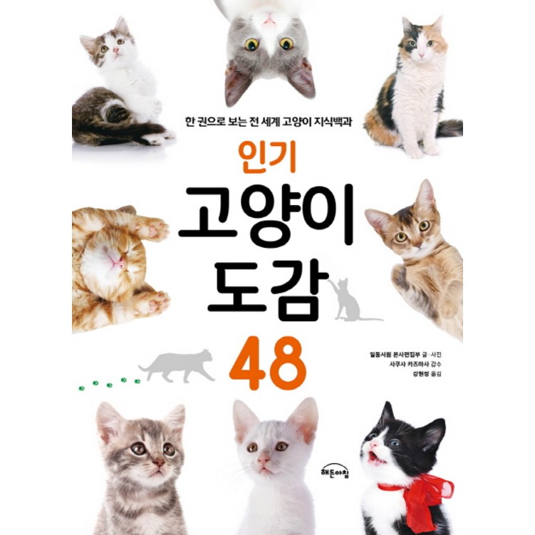 인기 고양이 도감 48:한 권으로 보는 전 세계 고양이 지식백과 20230522