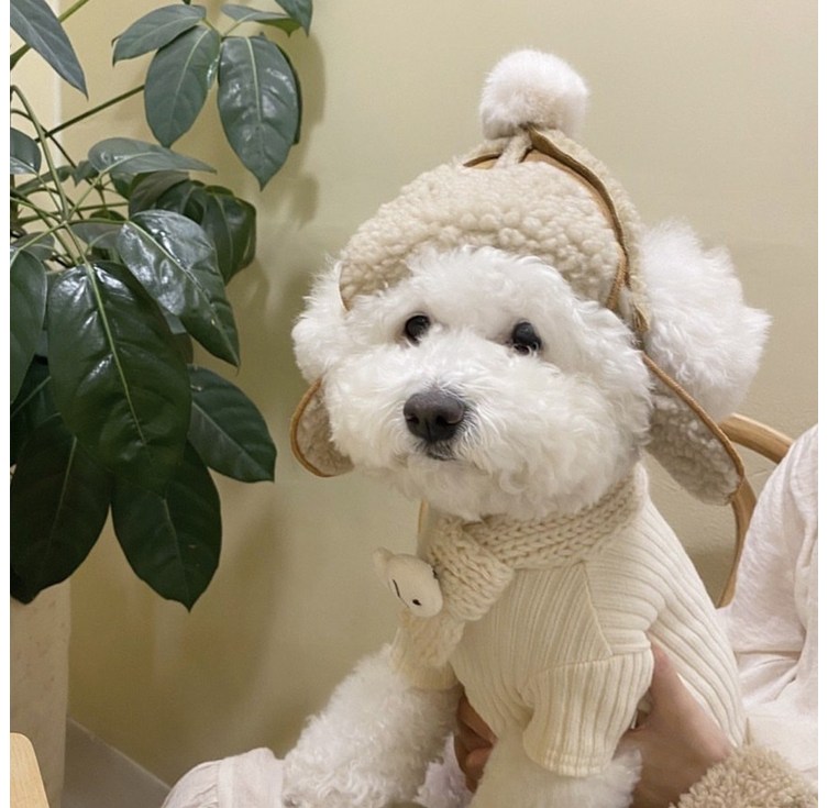댕냥이 군밤 모자