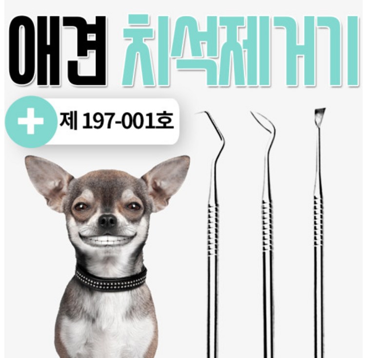 애견셀프 치석제거기스케일링