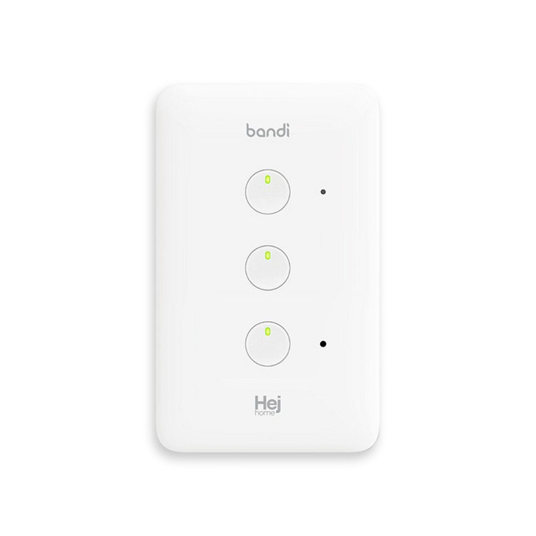 헤이홈 IoT 스마트 조명 스위치 2선식 3구, 1개