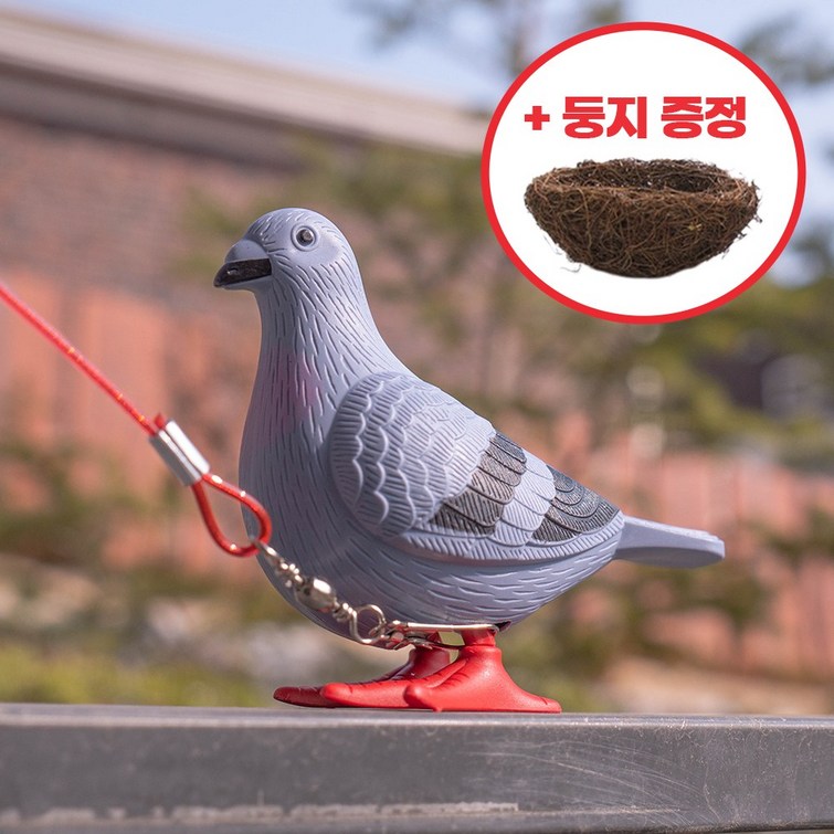 움직이는 반려 비둘기 선물세트 비둘기둥지산책줄 움직이는 반려 비둘기 선물세트 비둘기둥지산책줄